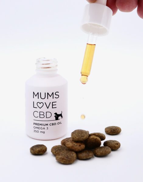 cbd dog treats omega 3